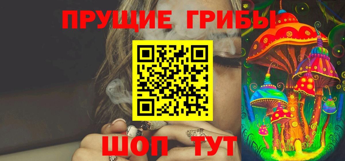 Галлюциногенные грибы Psilocybine cubensis  Вход с VPN  Галлюциногенные грибы Cubensis  Курчалой 
